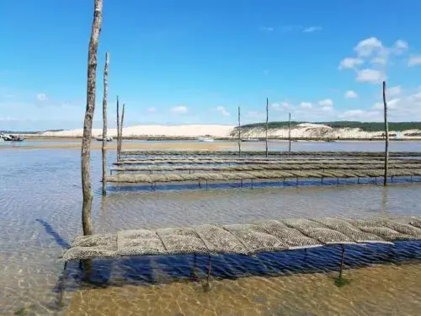 Camping Routes Du Monde Arcachon La Hume