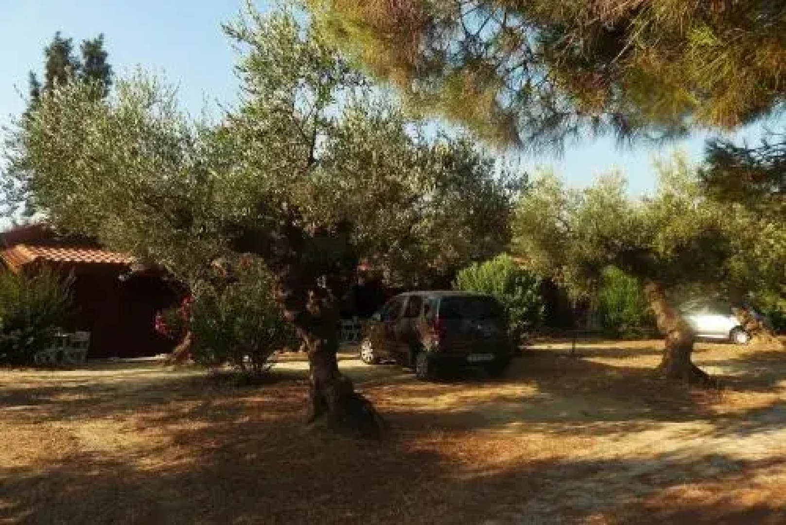 Ktirakia Studios