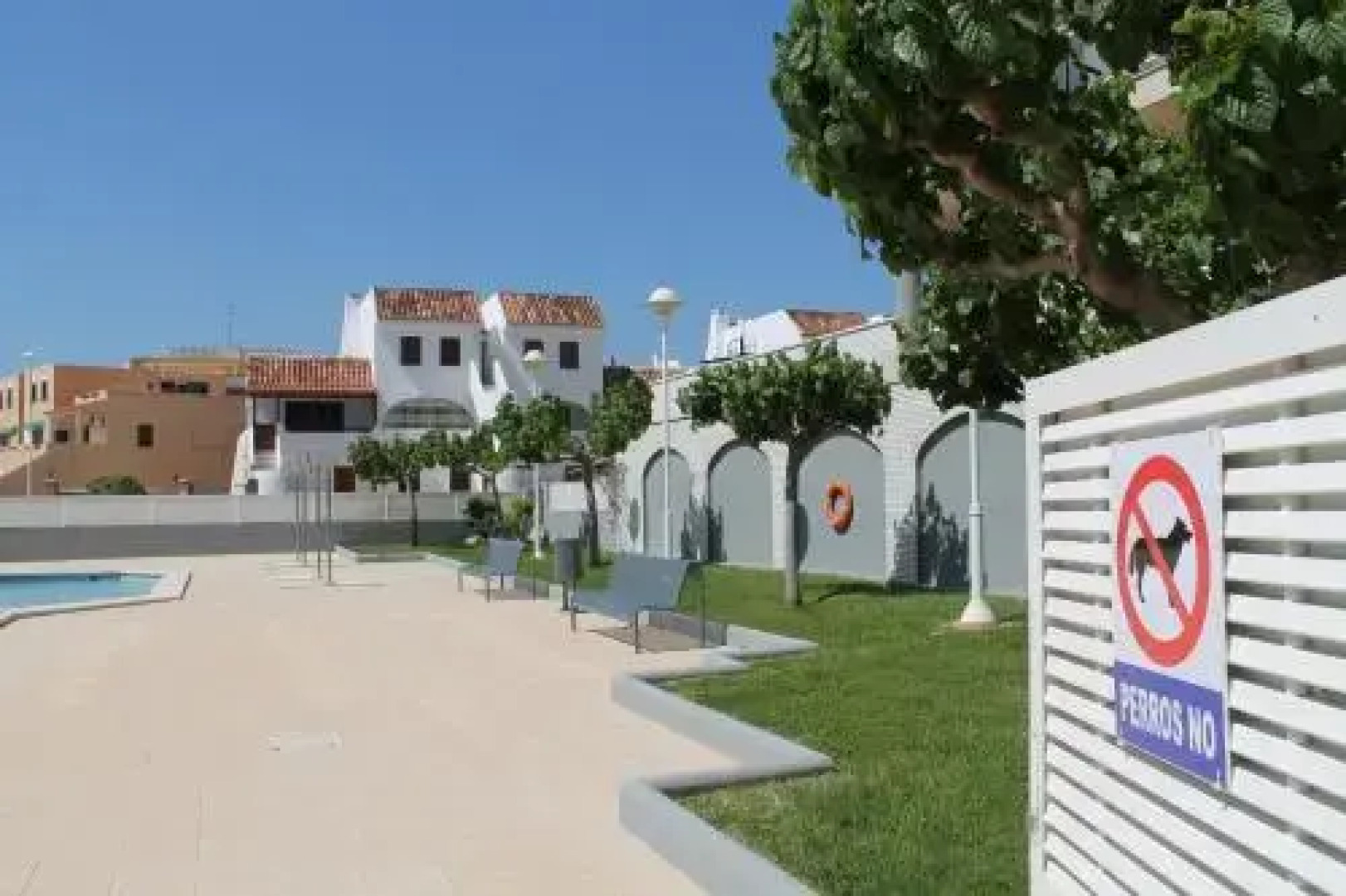 Argenta Orange Costa