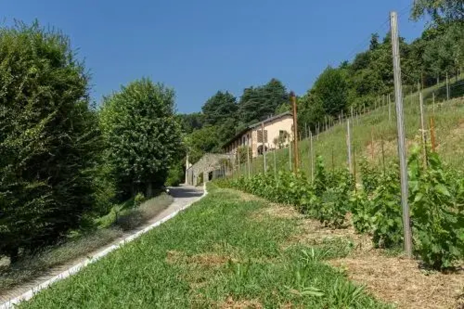 Tenuta Ronco Regio