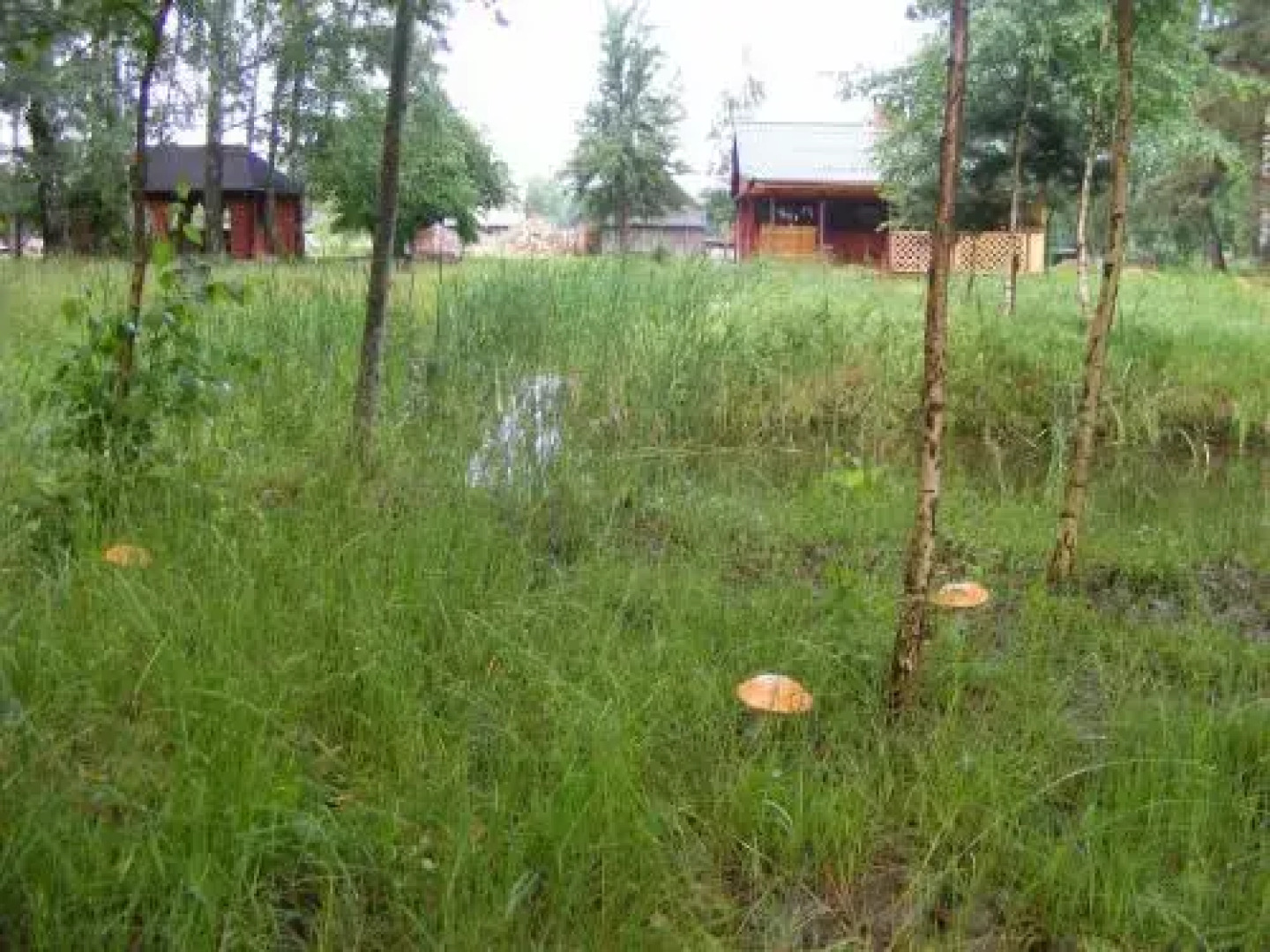 Заезд Зубачи 