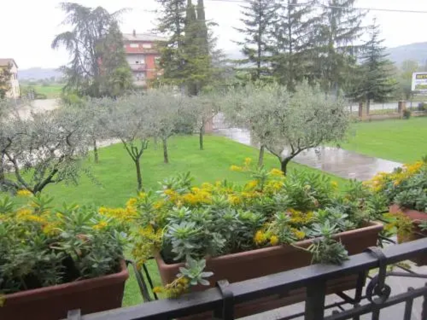 La Strada Di Francesco DAssisi