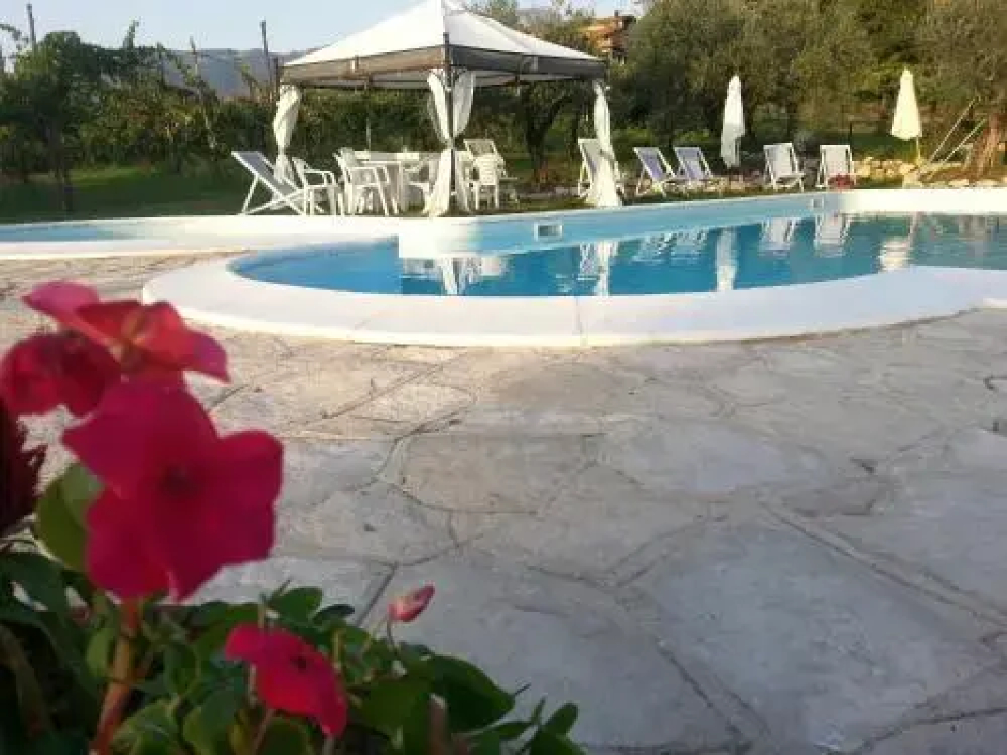 I Giardini Di Eidos