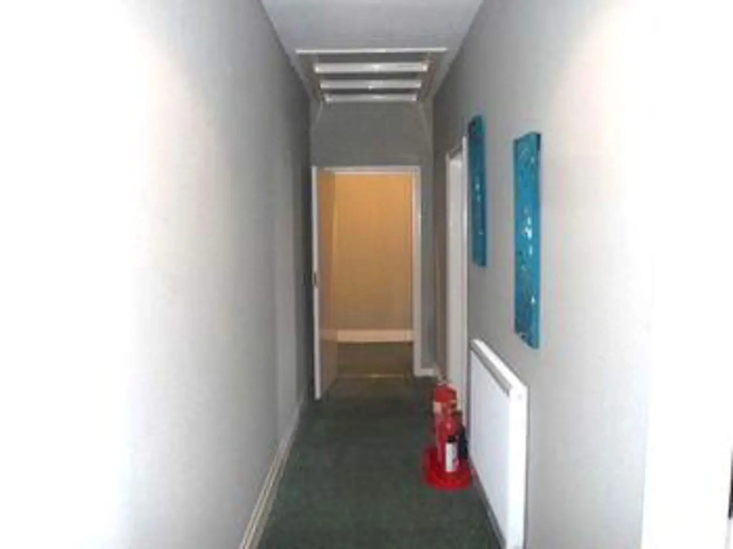 The Aclet