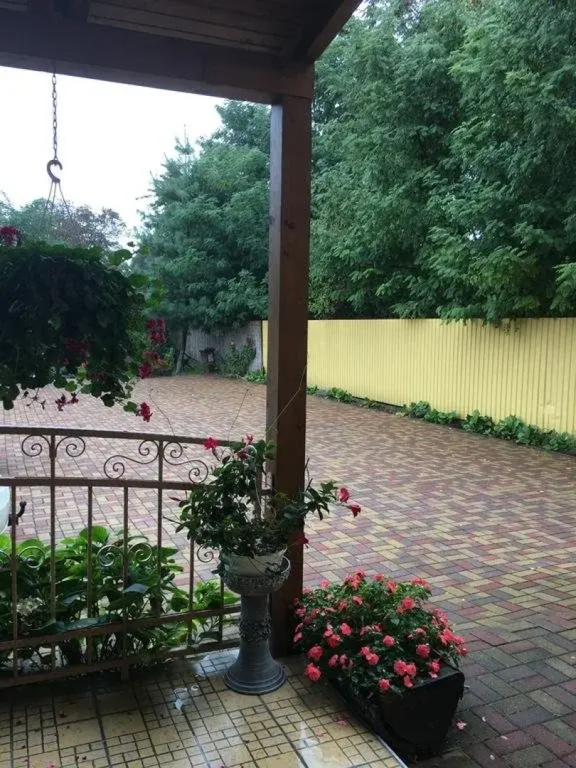 Vci Panzi