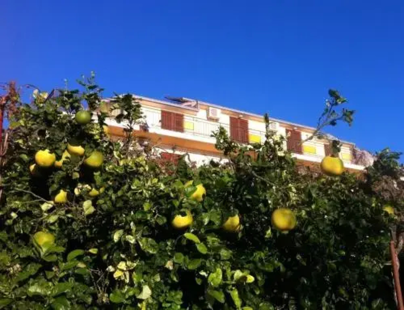 Apartments Slaven