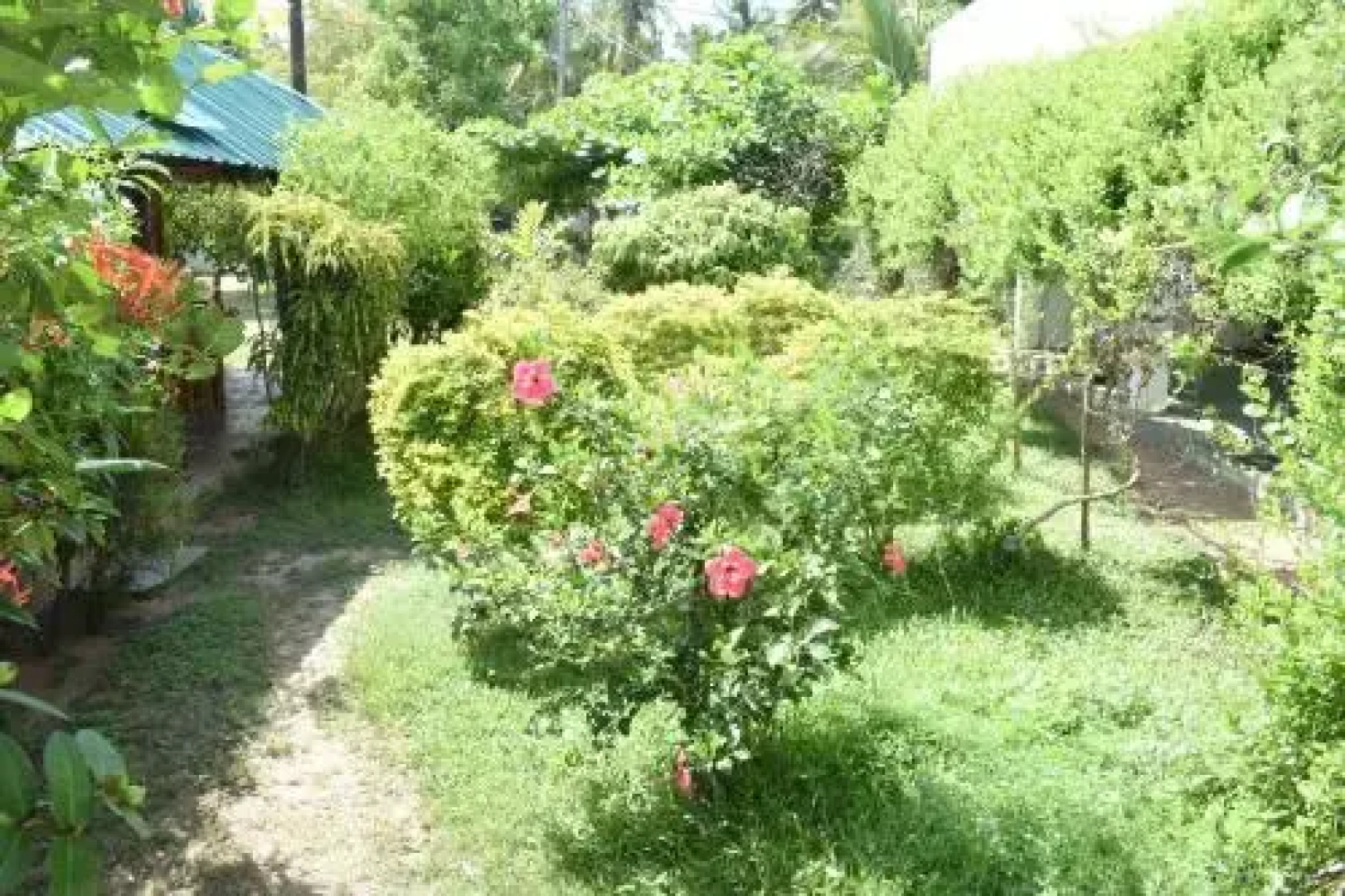 nilaveli palm house