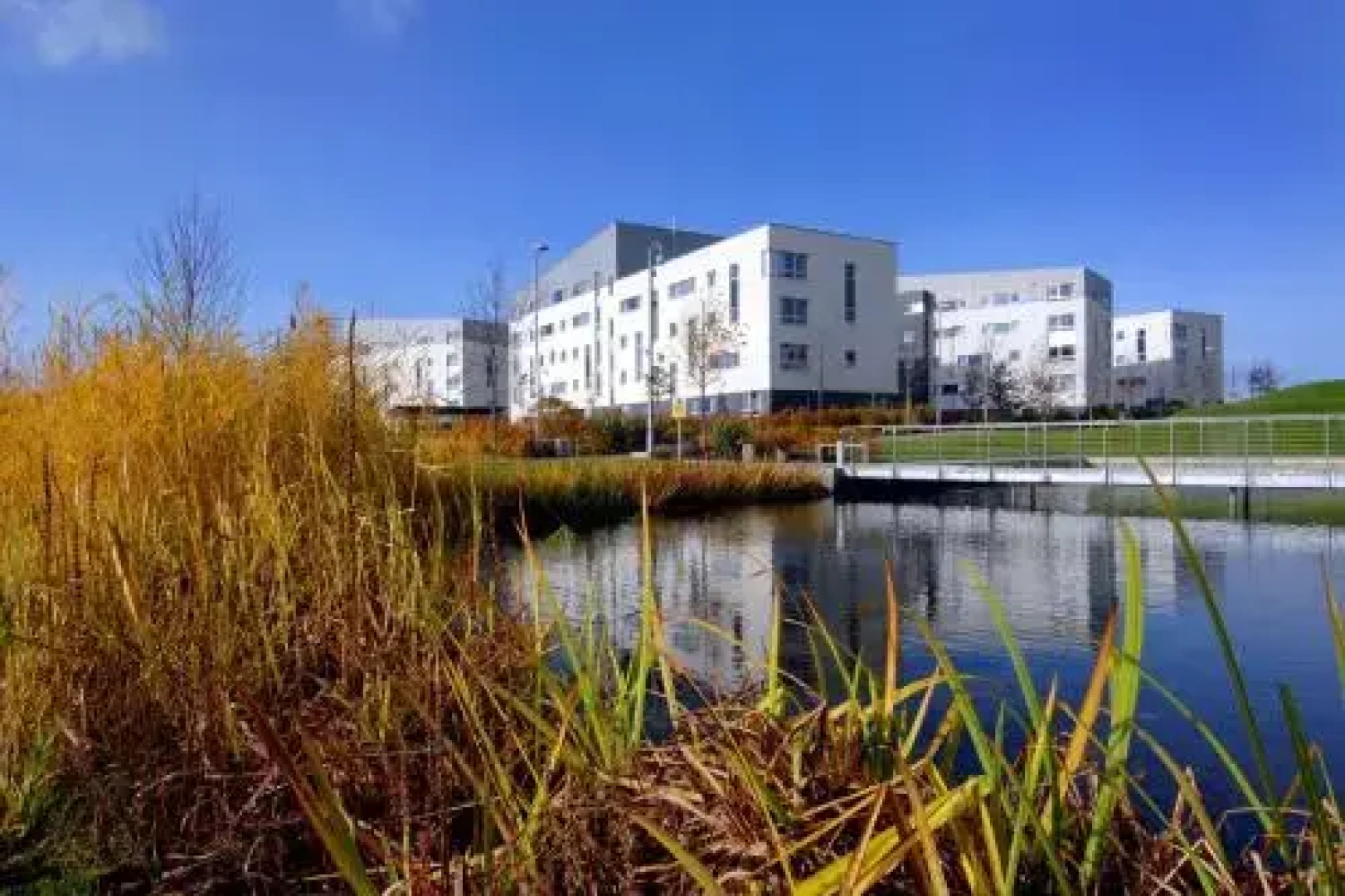 Queen Margaret University Residences