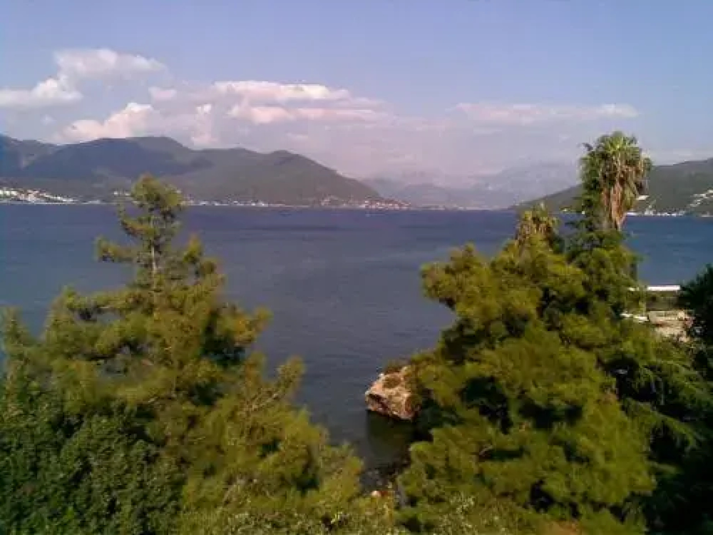 Villa Rose