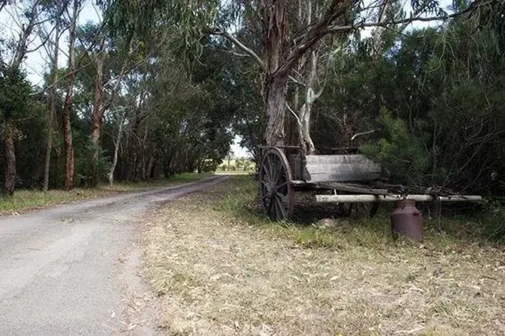 Wypinga B&B - Pet Friendly