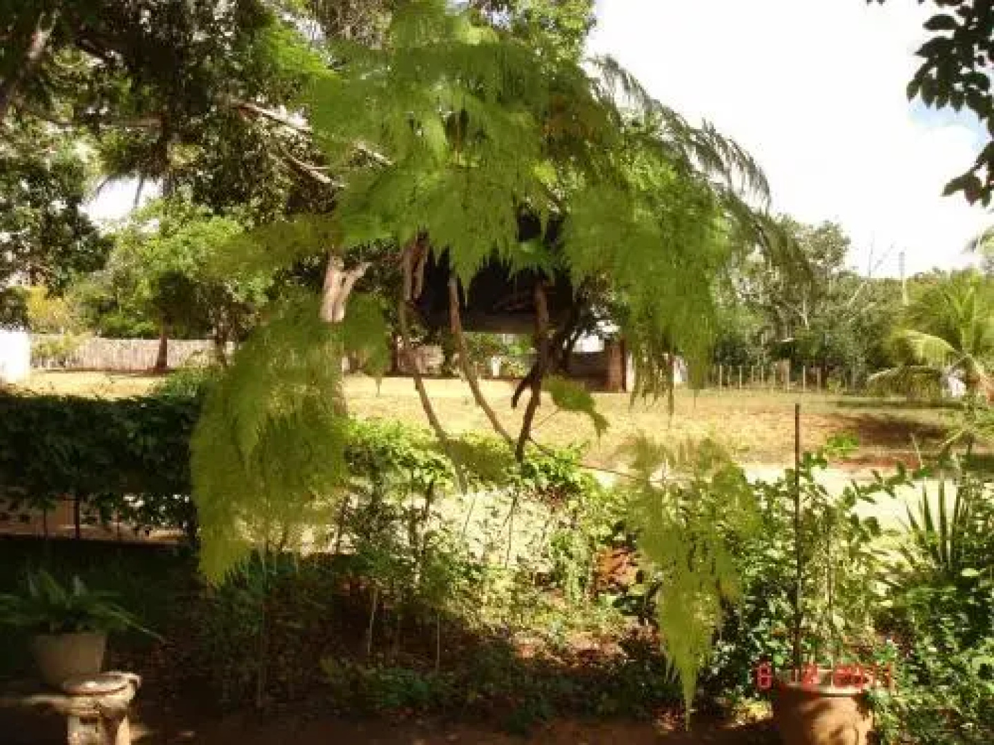 Sapiranga Forest Hostel