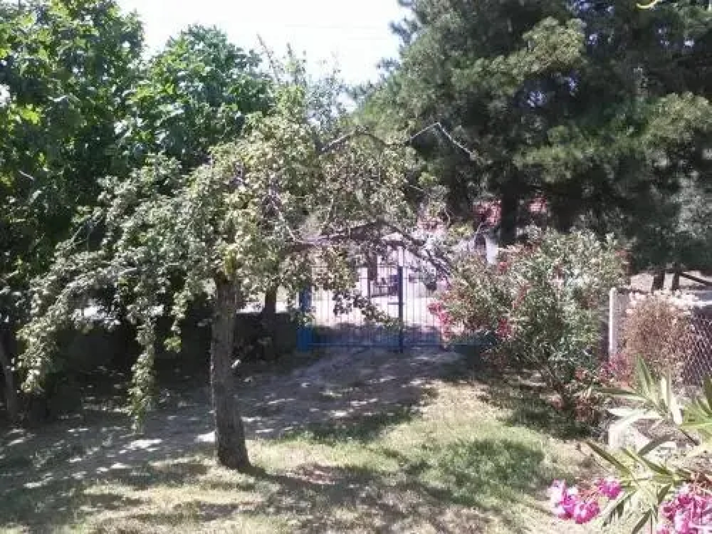 House Kokkalas
