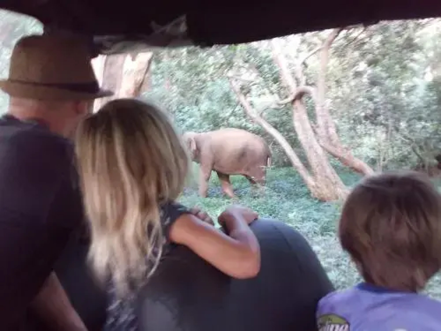 Lavendra Villa Mirissa