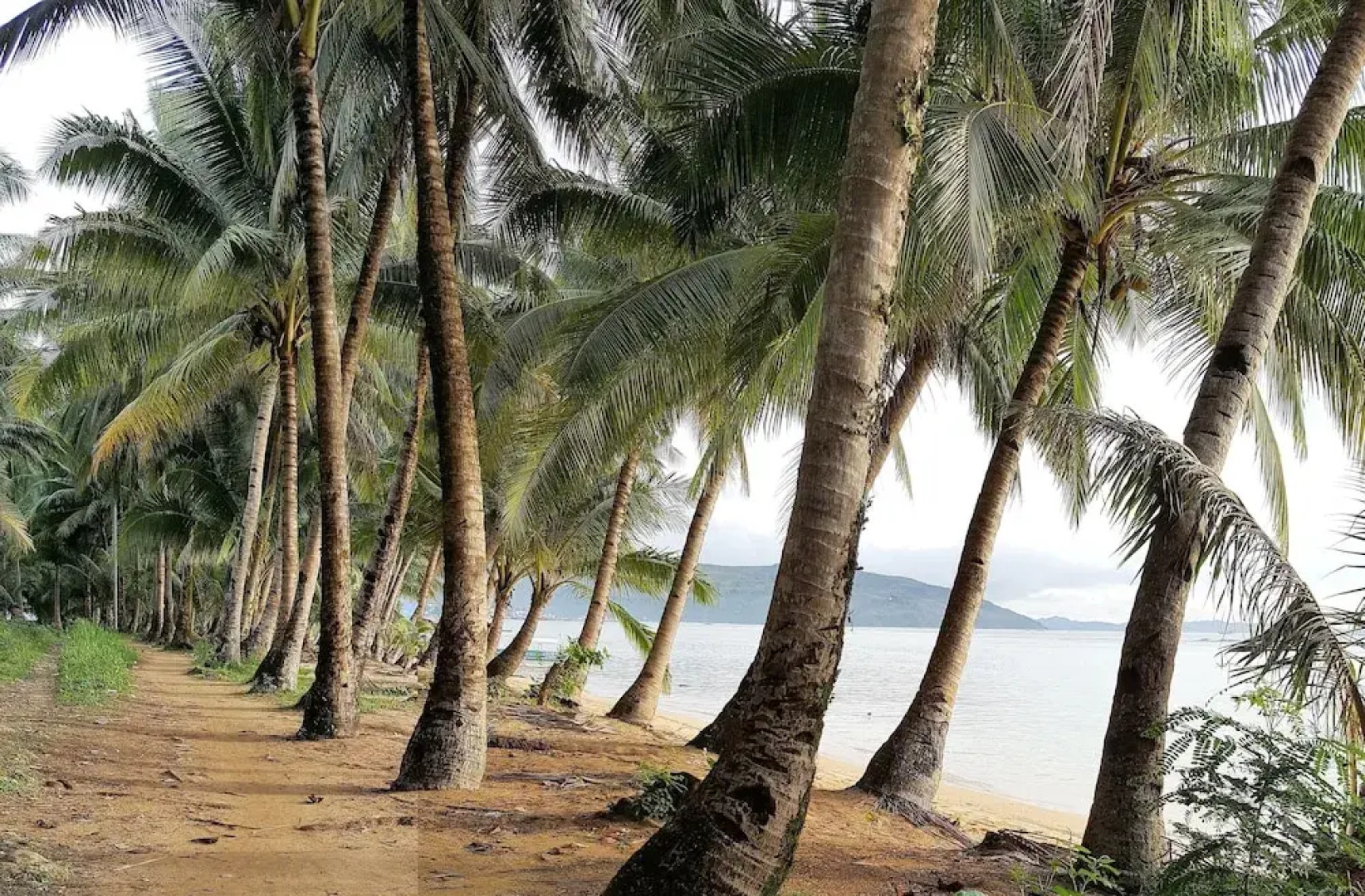 Serenity Oceanside Guest House