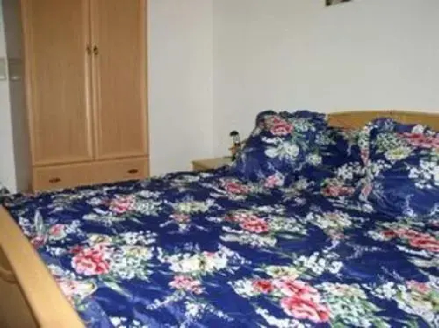 Seehotel Krakow am See