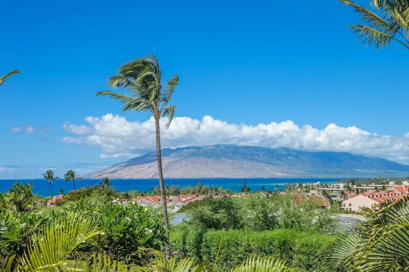 Maui Kamaole #L-202
