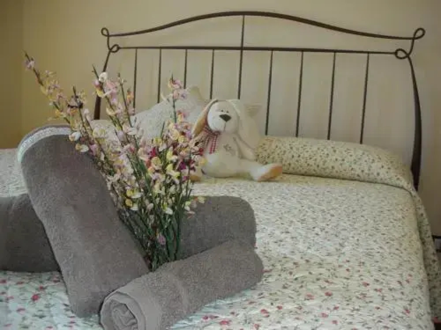 B&B Casacapraia