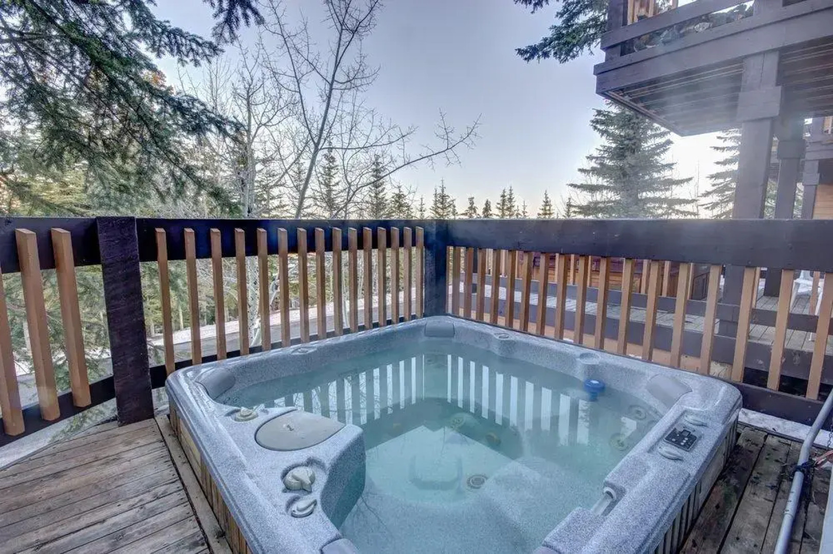 Silver Bird by Alpine Ski Properties