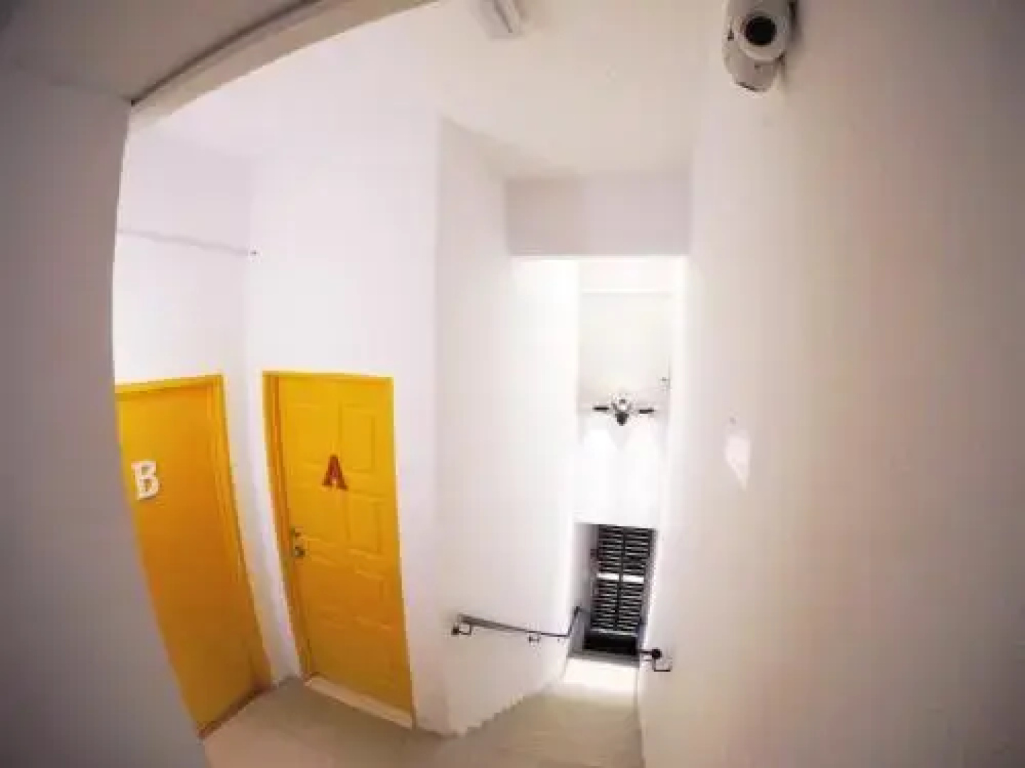 The Roosevelt Studio