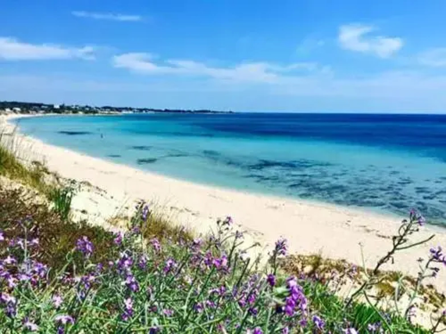 B&B Salento Beach