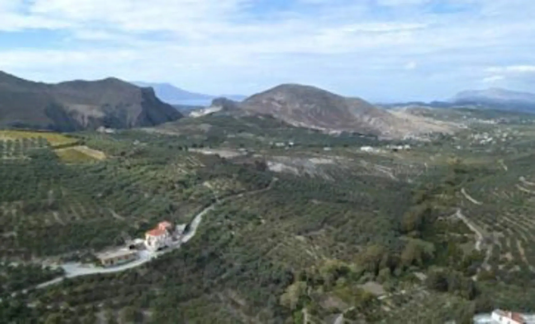 Olive Villas
