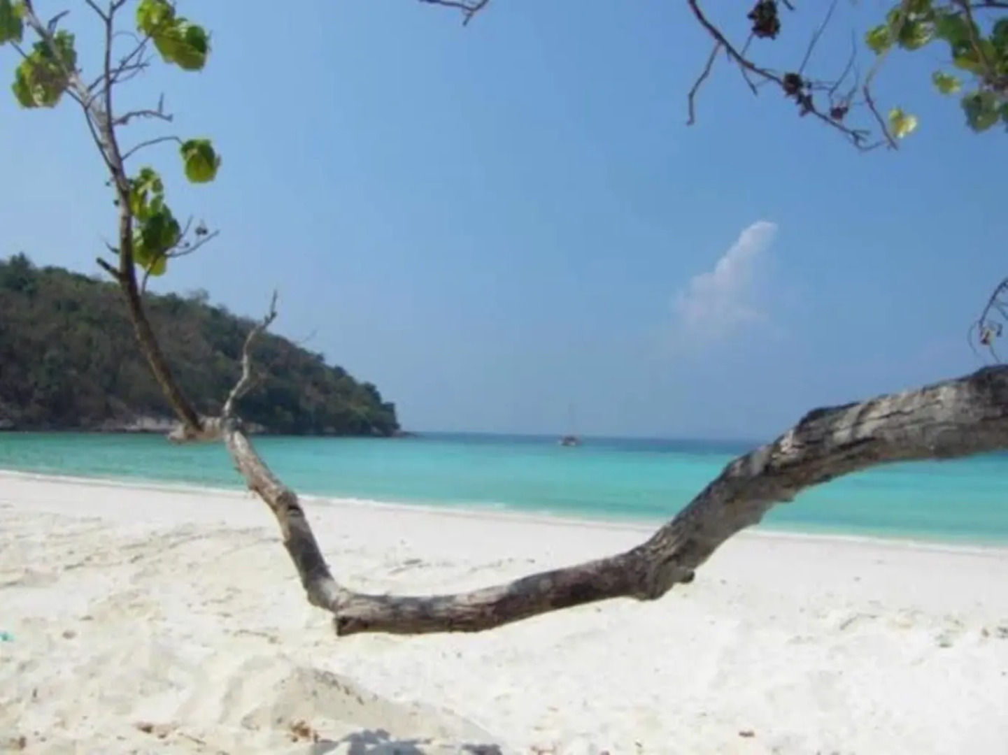 Ascot Boutique Hotel