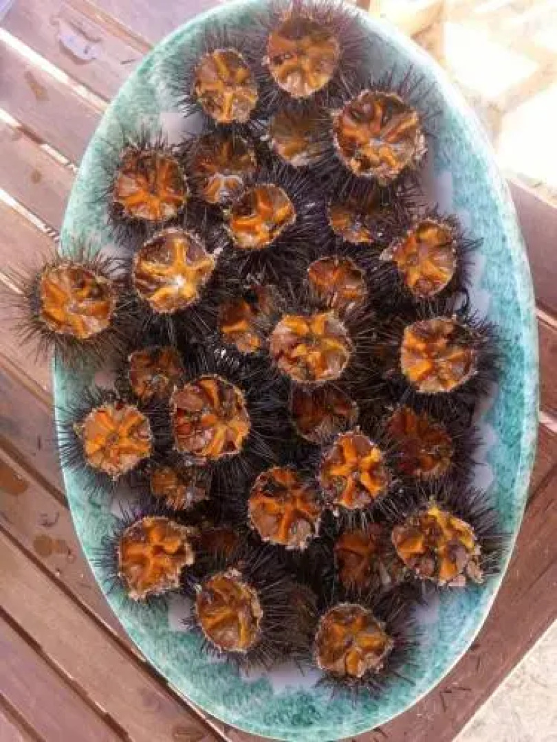 Masseria Vivi il Salento