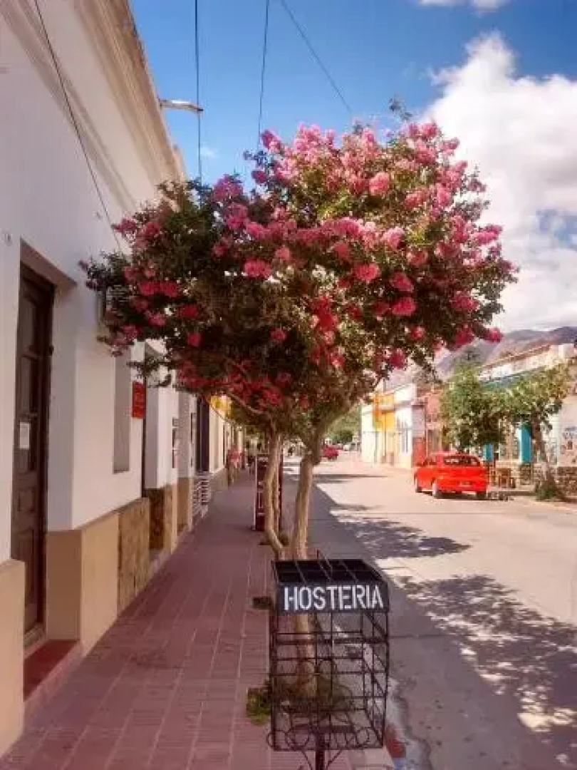 Hosteria El Zaguan