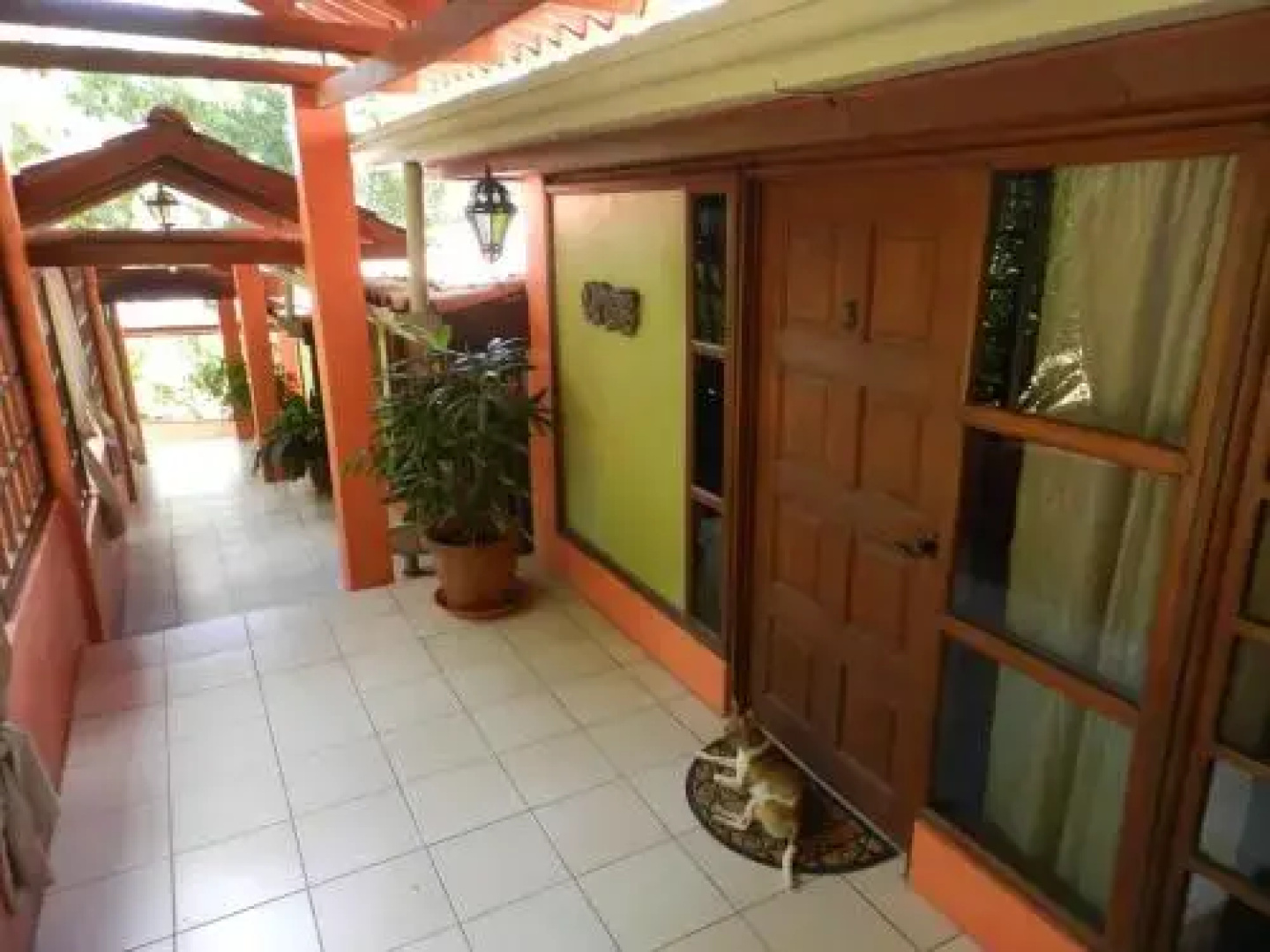 The Orchid Tree B&B Costa Rica