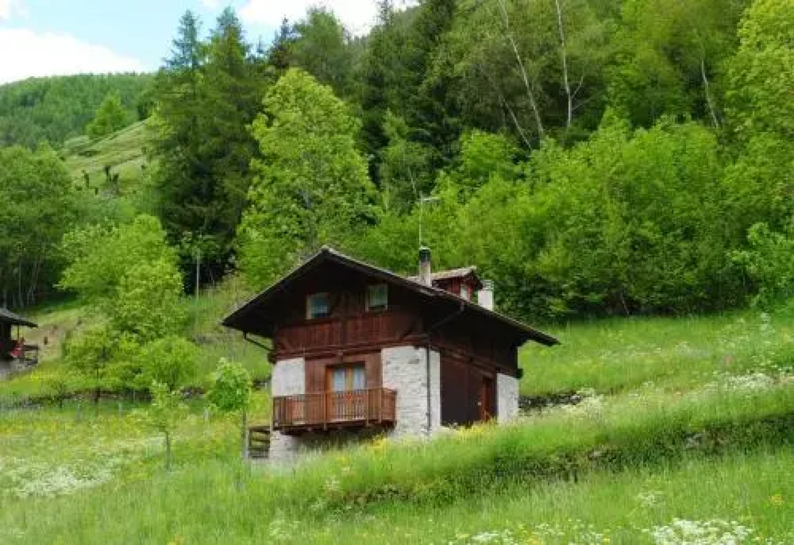 Mas dei Toti