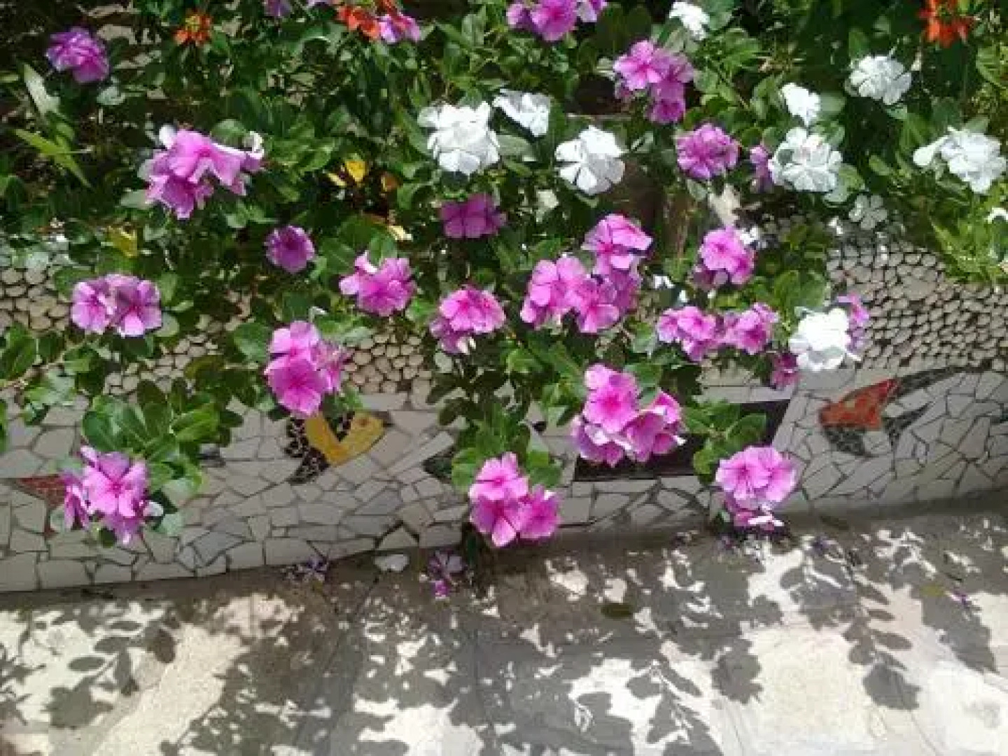 Chácara Porto do Sol