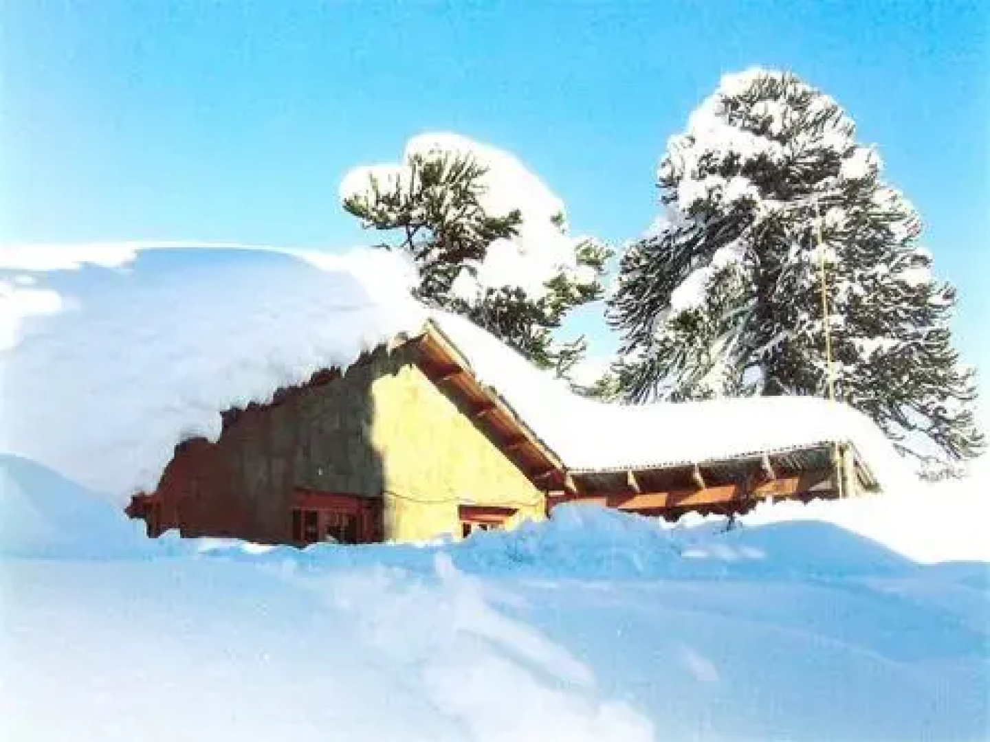 Cabañas Huerquen