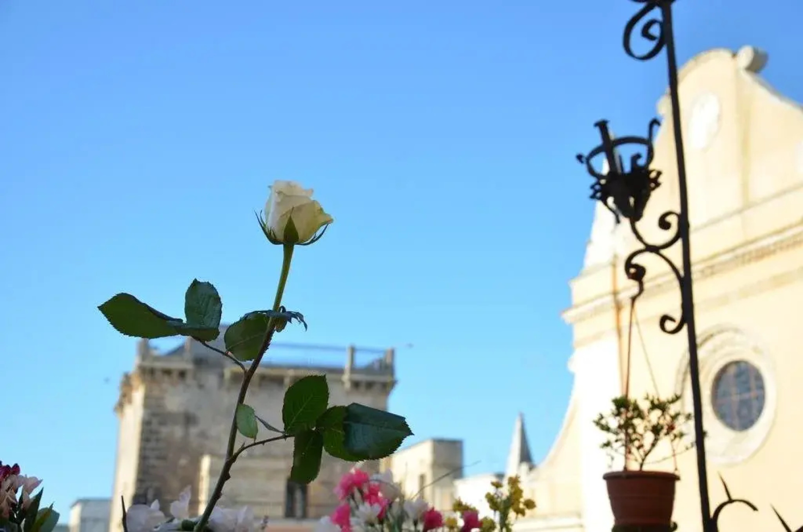 Apulia '800