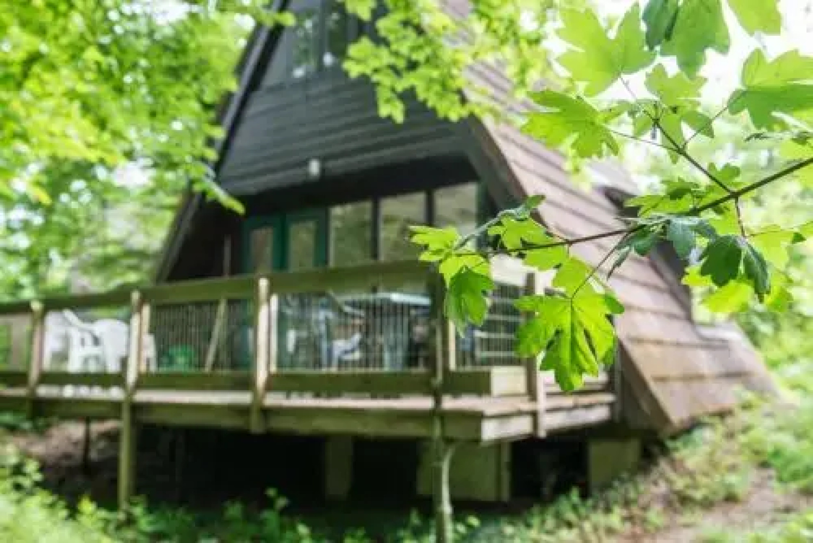 Chalet Clementine
