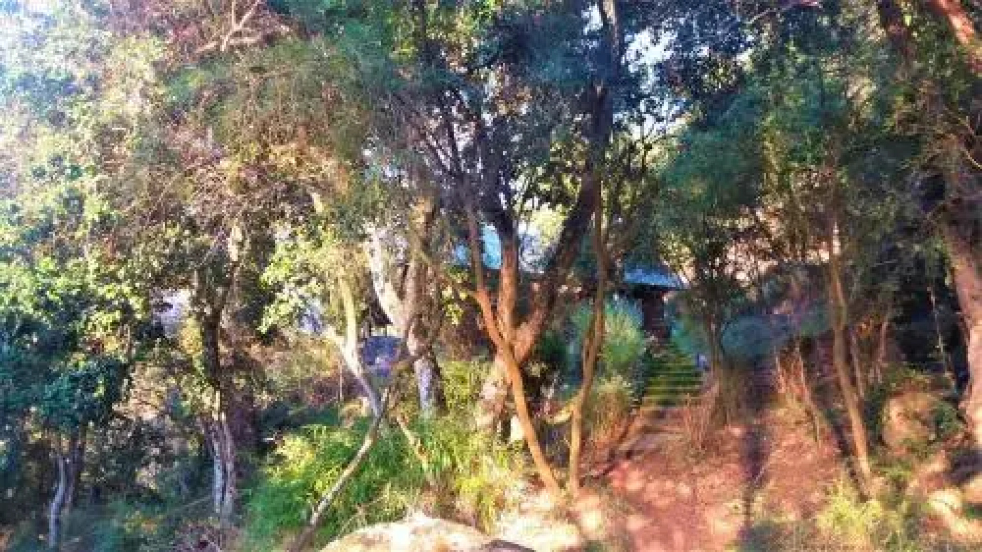 Cabañas Llifenativo