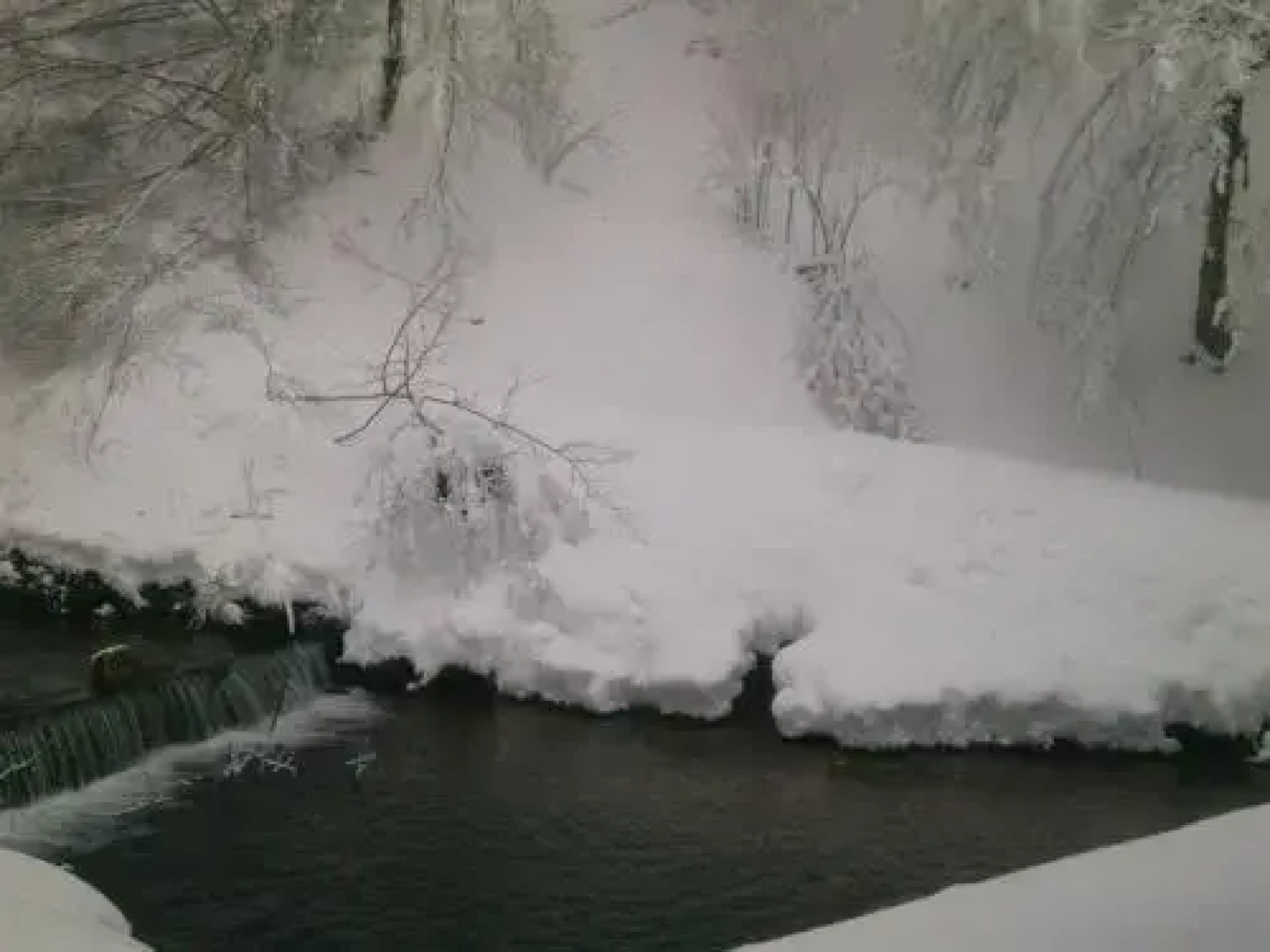 Ribnjak