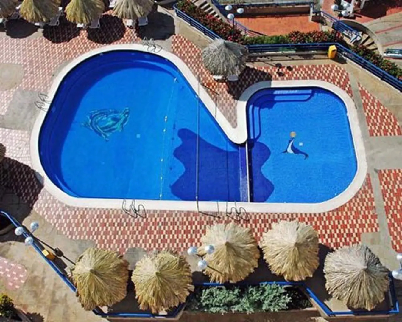 Hippocampus Vacation Club