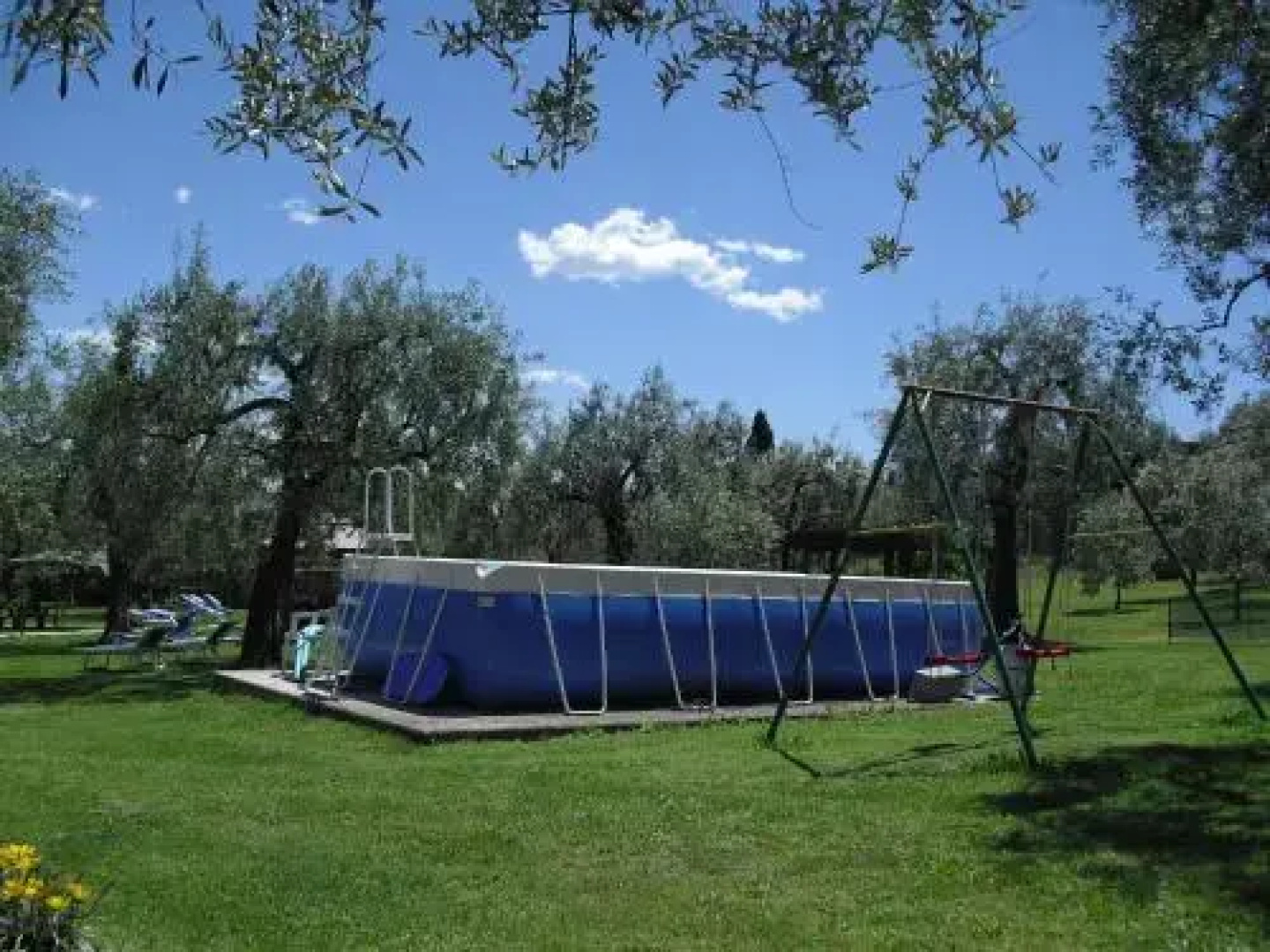 Campolivo