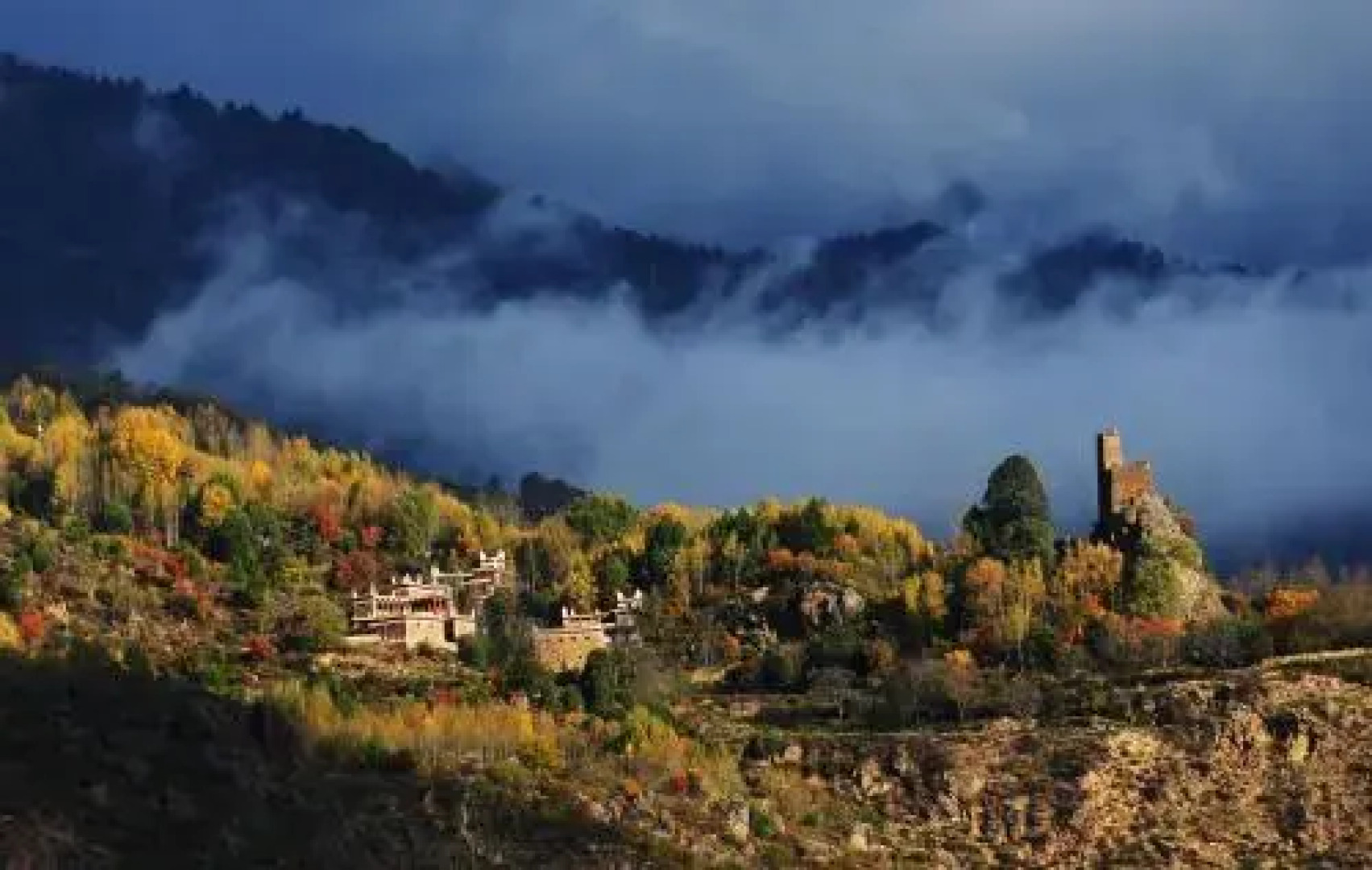 Express 318 Motel Dan Ba