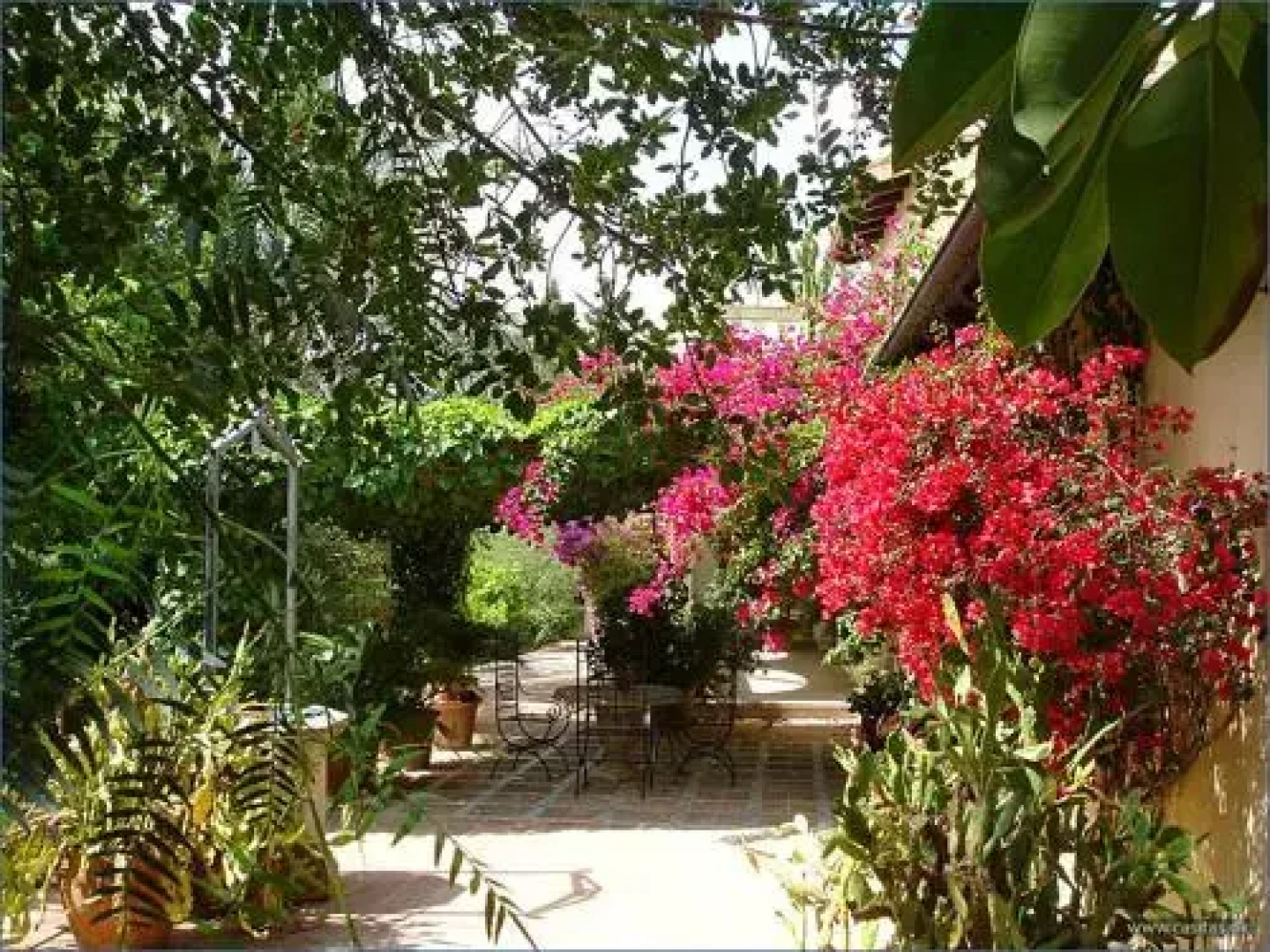 Finca Son Flor