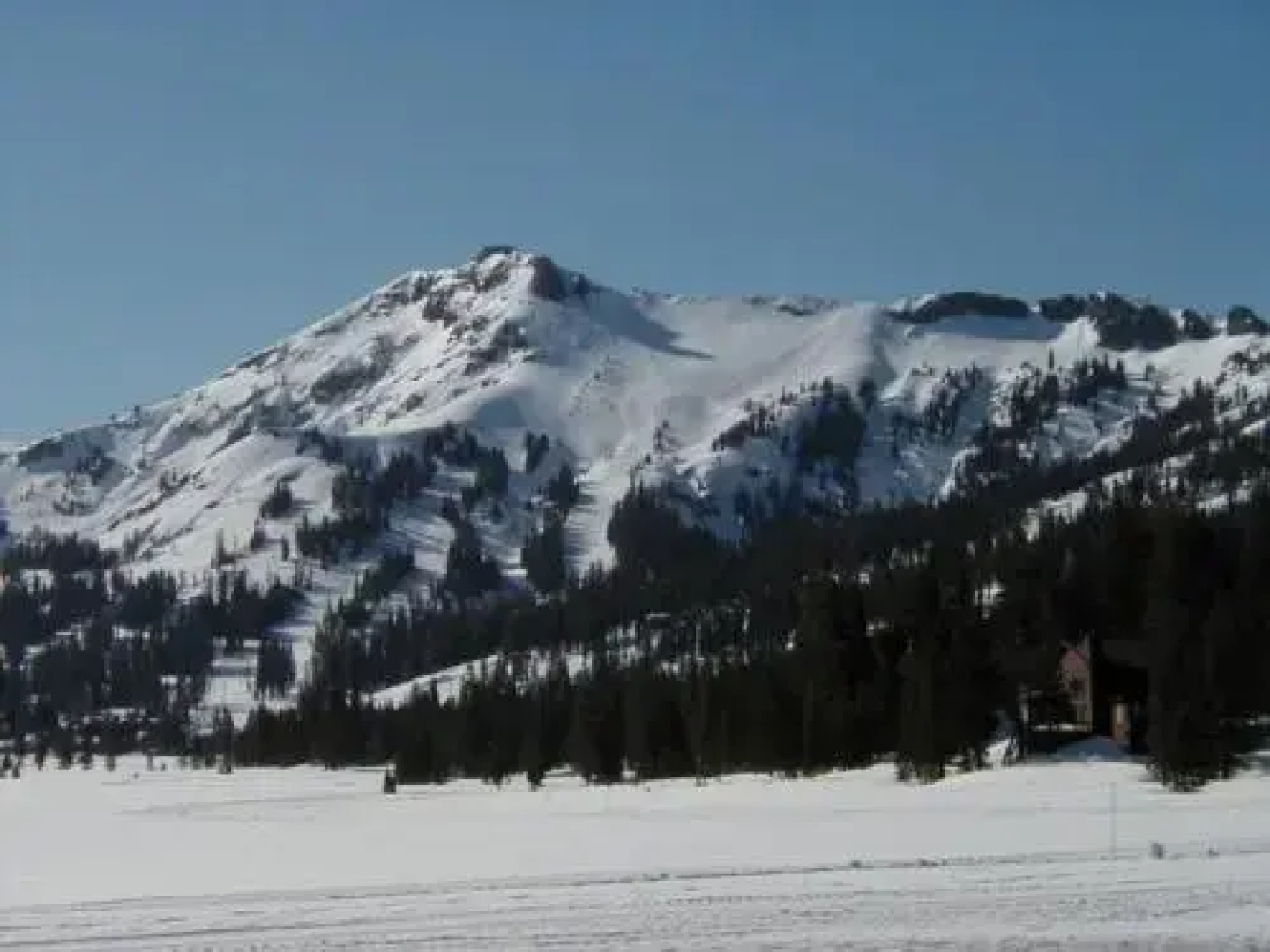 Sun Meadows 3-202