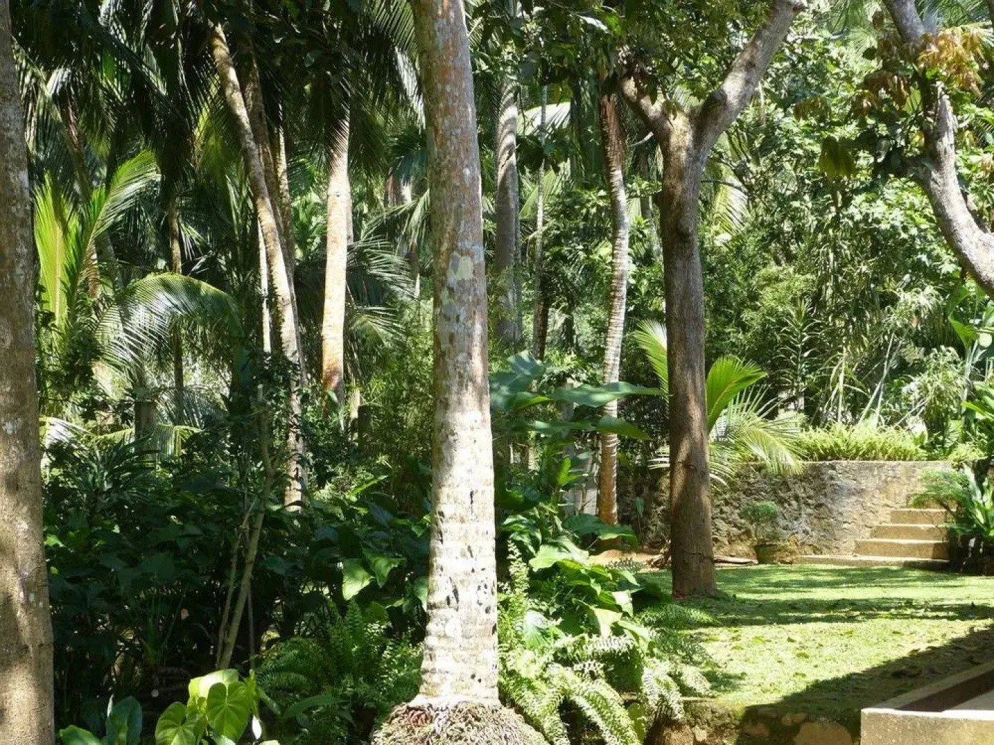 Kimbulagala Watte Villa