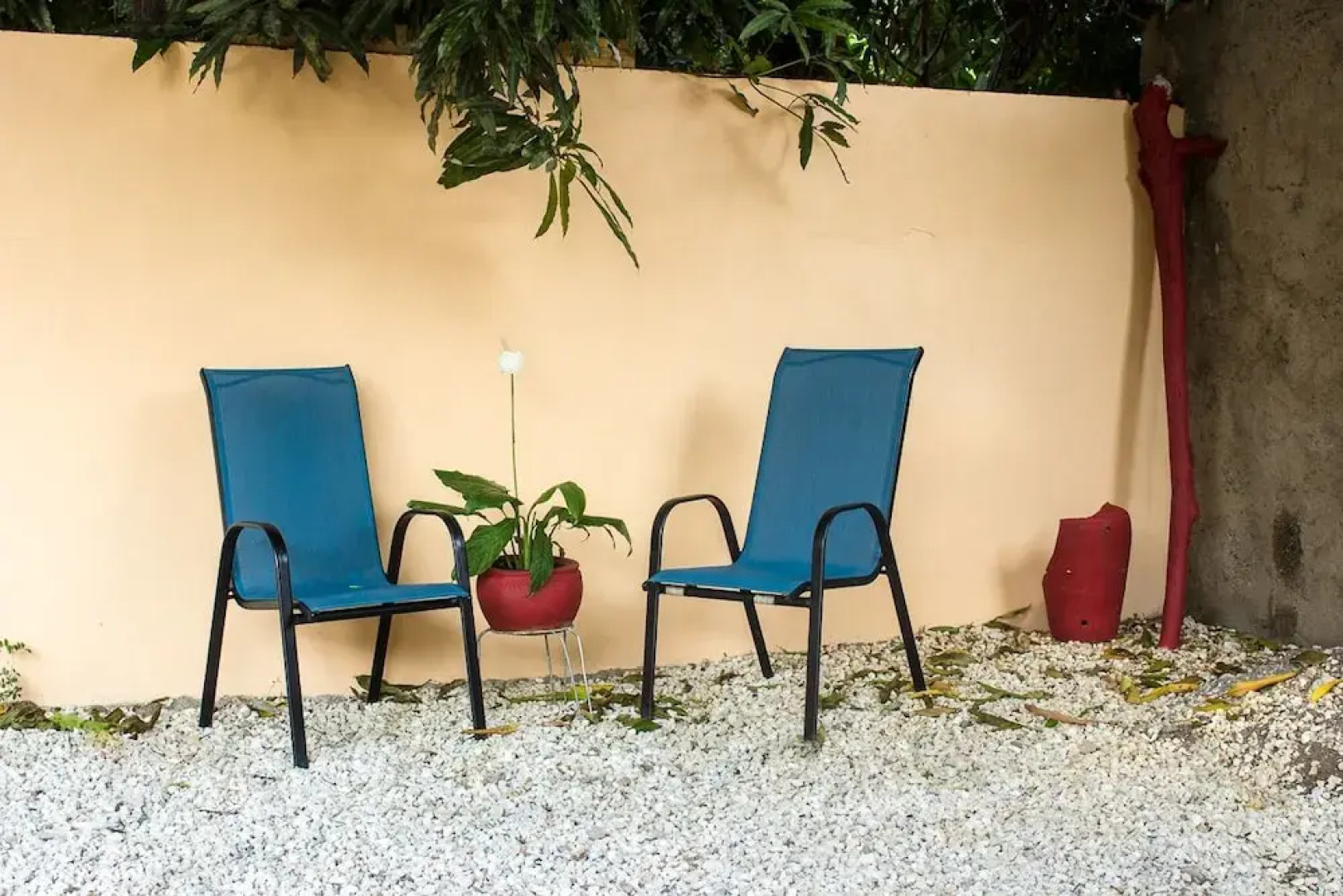 RafJam Bed & Breakfast Kingston