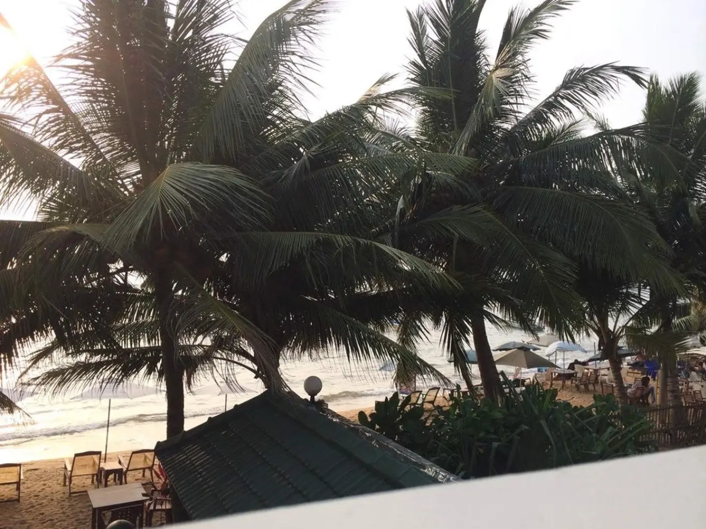 Coconut Bar Sea Lodge