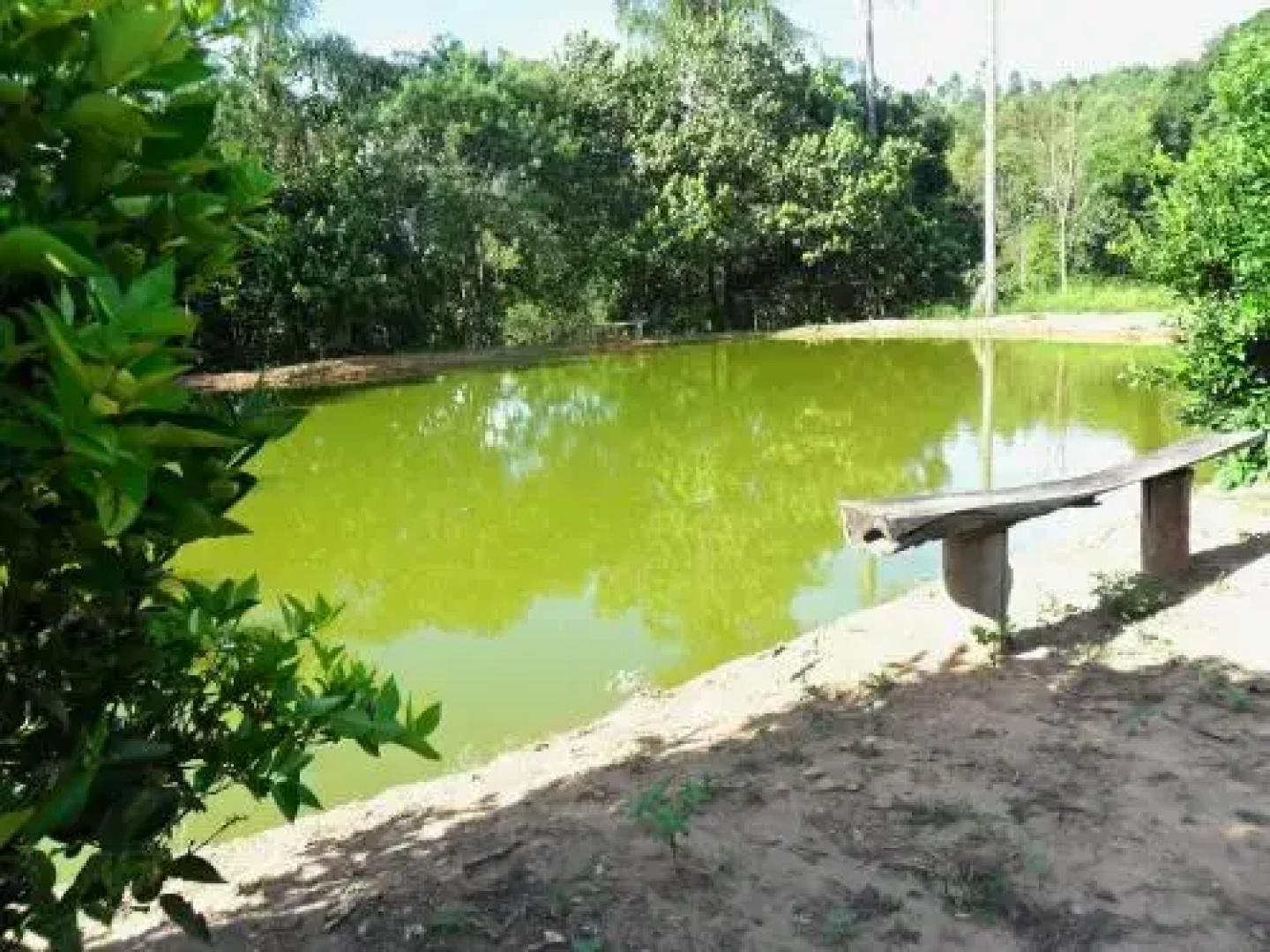 Fazenda Da Pedra