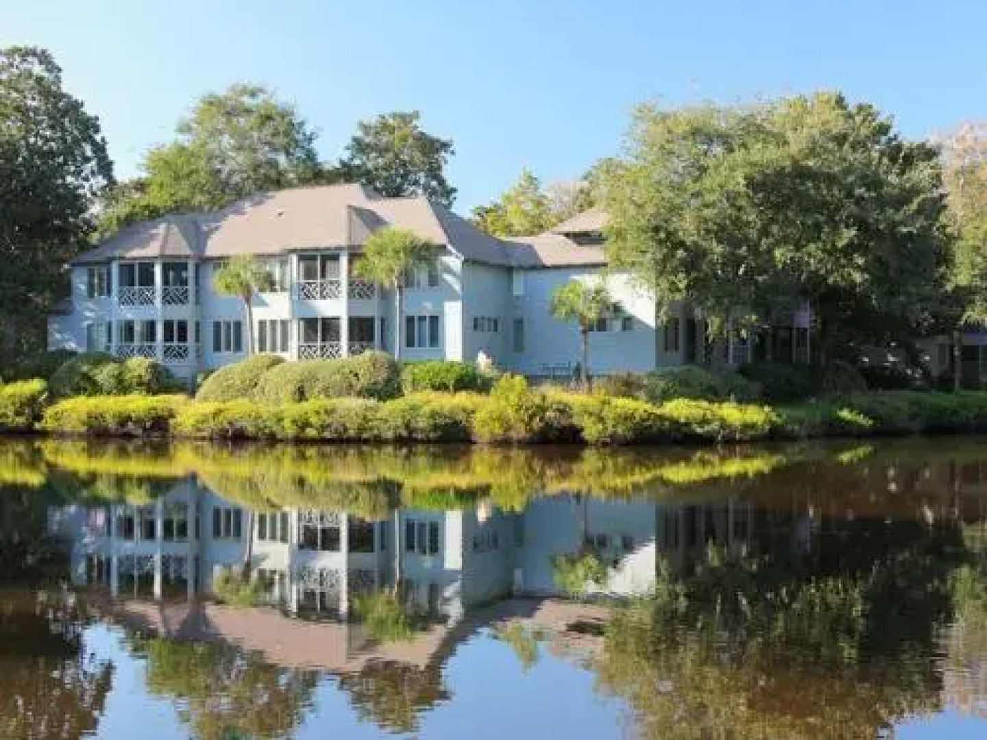 Turtle Cove 5552 by RedAwning