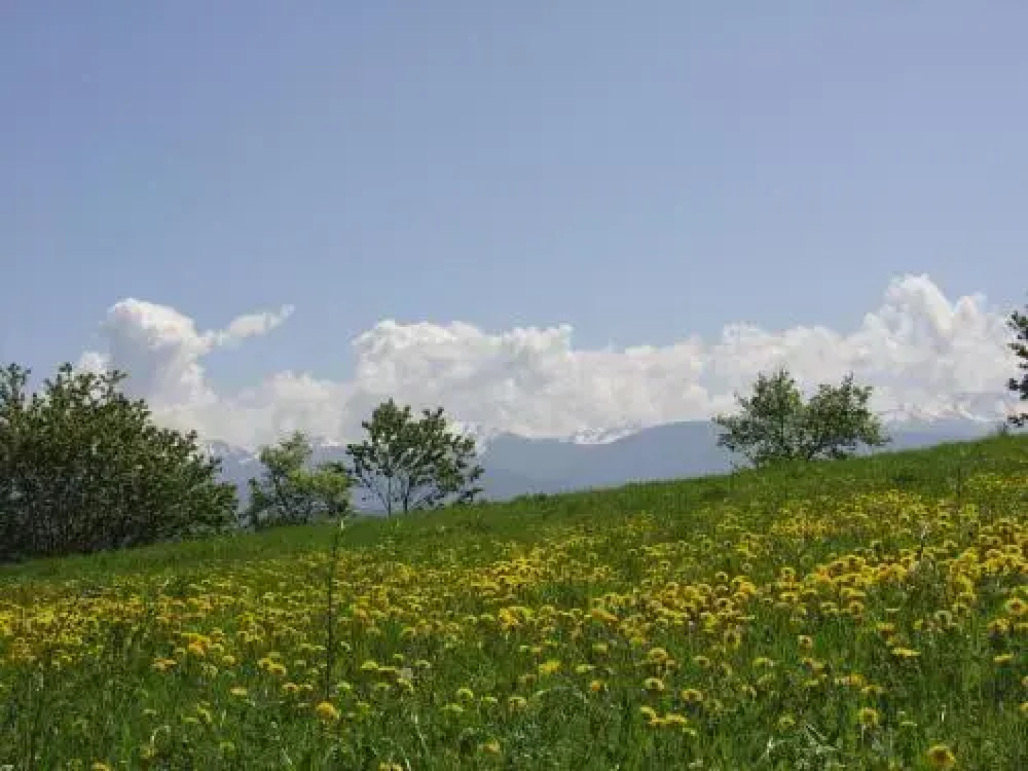 Agriturismo Girasole