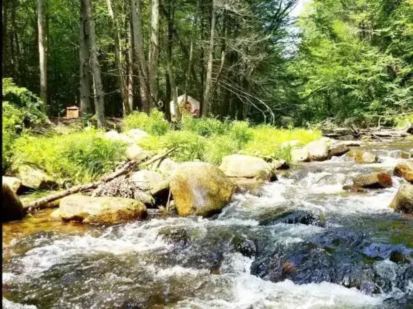 Tentrr - Brookside at Camp Relevé