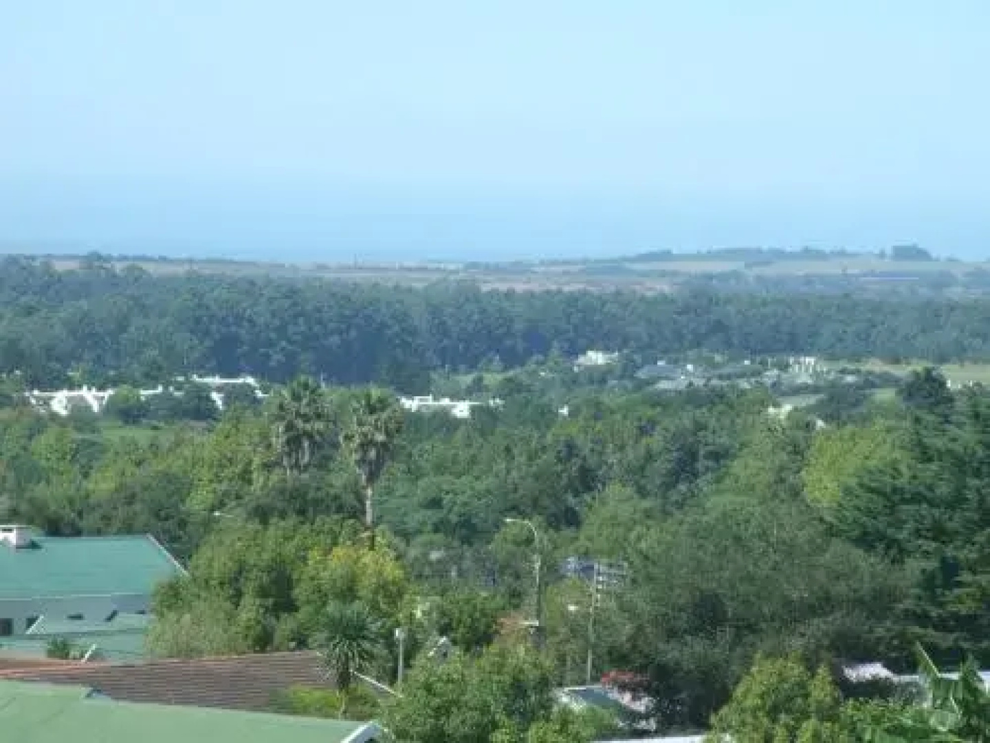 Maitland Meander