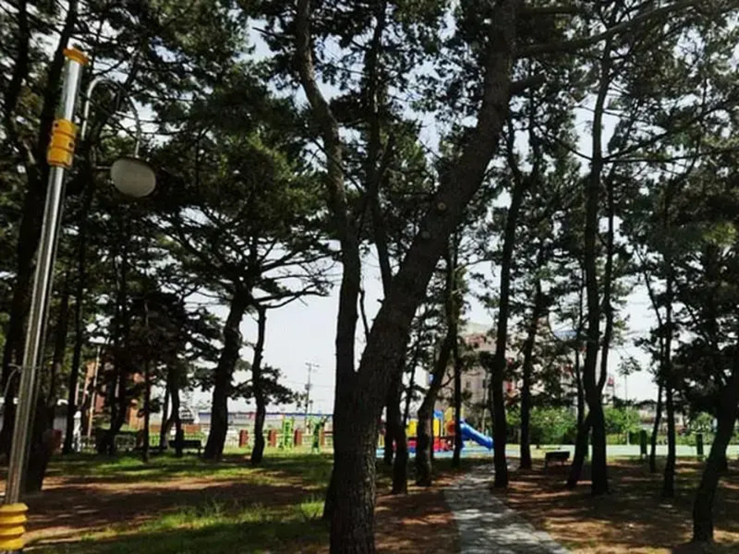 Jinha Hotel & Resort